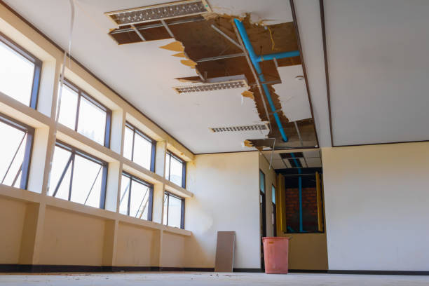 Best Sewage cleanup and water damage restoration  in Nekoosa, WI