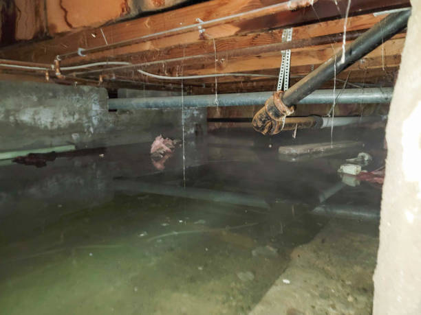 Best Commercial water damage restoration  in Nekoosa, WI
