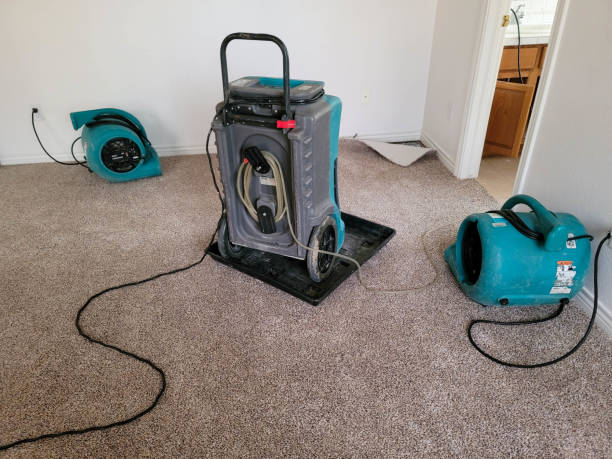 Best Fire Damage Restoration  in Nekoosa, WI