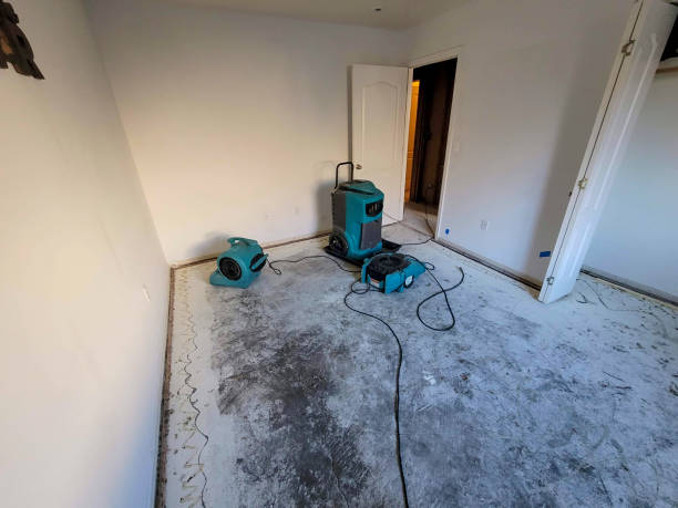 Best Local water damage restoration  in Nekoosa, WI