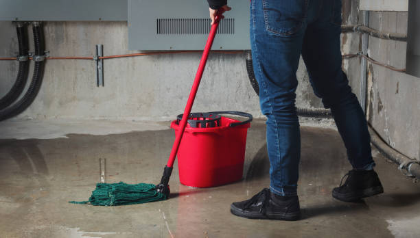 Best Flooded house restoration  in Nekoosa, WI