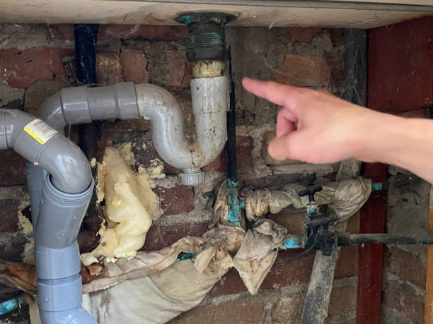 Best 24/7 water damage repair  in Nekoosa, WI