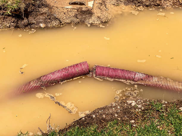 Best 24/7 water damage repair  in Nekoosa, WI