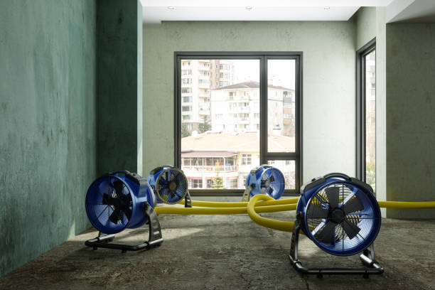 Best Professional water damage repair  in Nekoosa, WI