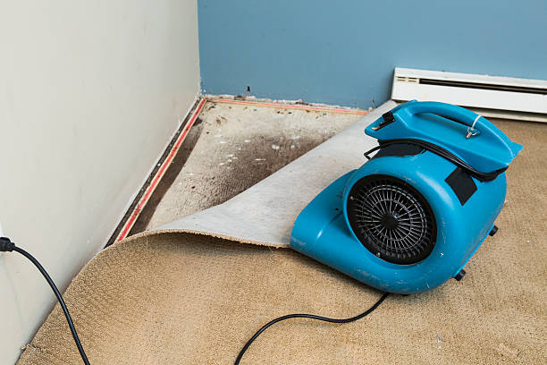  Nekoosa, WI Water damage restoration Pros